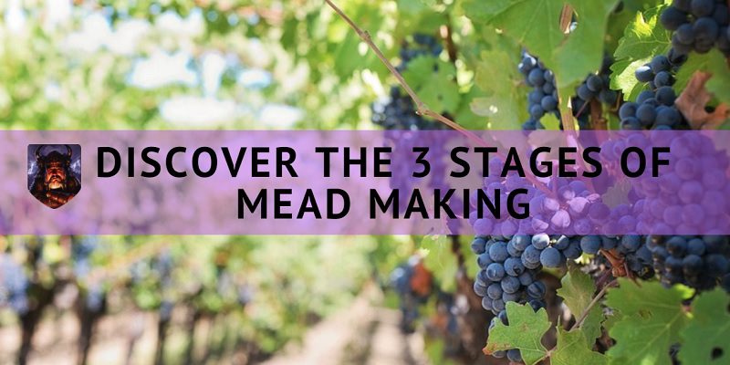 mead making stages