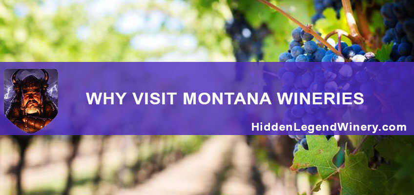 montana wineries
