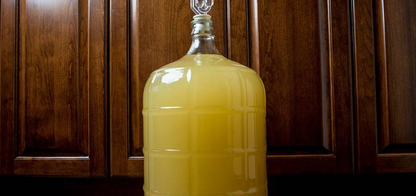 one gallon glass jug of mead